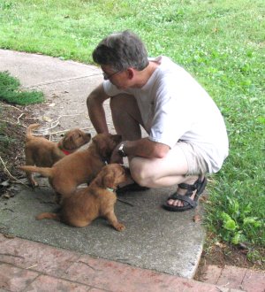 puppies with Jim