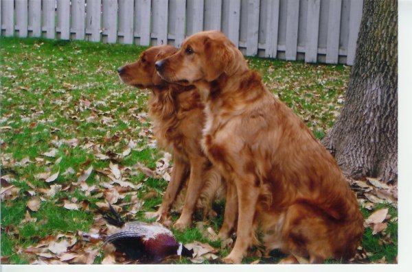 Abby & Friend, Fall 2006