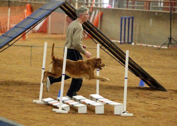 Agility Broad Jump