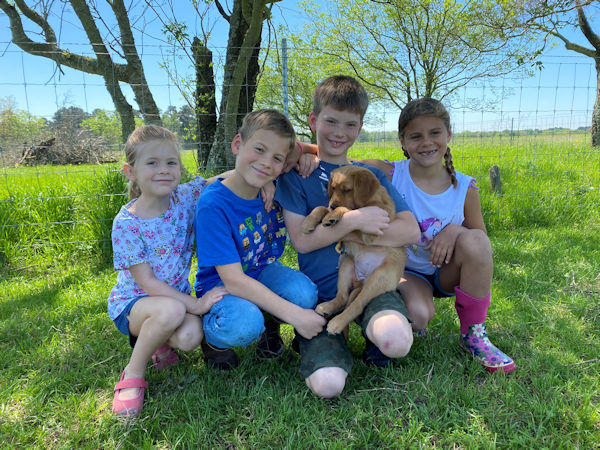 puppy at new home with kids