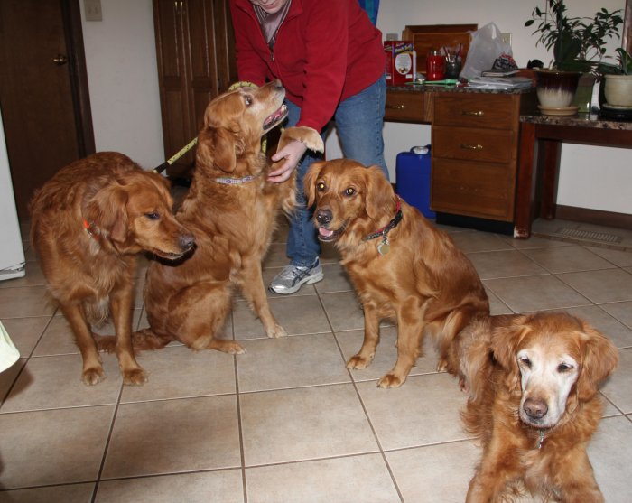 Barley and family