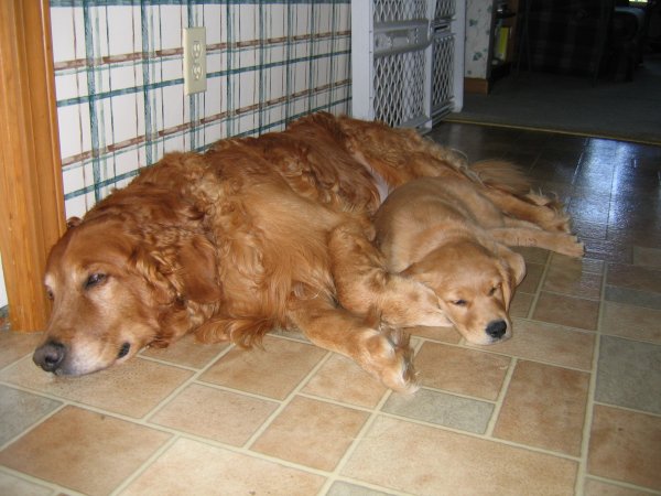 Beau with Tuck