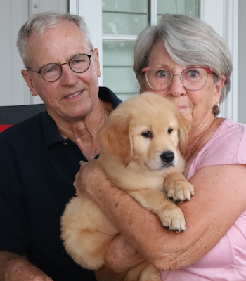 puppy at 7 weeks