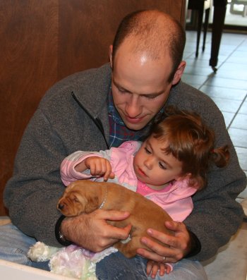 Puppy with toddler