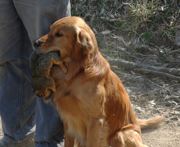 Bruce and friends