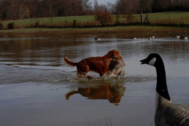 Chief in water