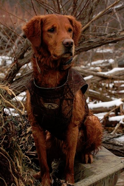 Chief posing