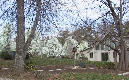 Fern Hill in Spring