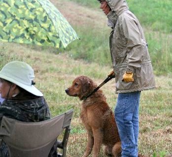 dog and handler