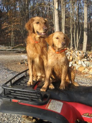 Preston and Huntley on the Kubota