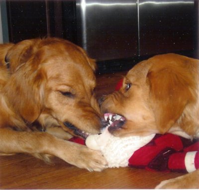 Preston & Huntley ripping a Santa doll