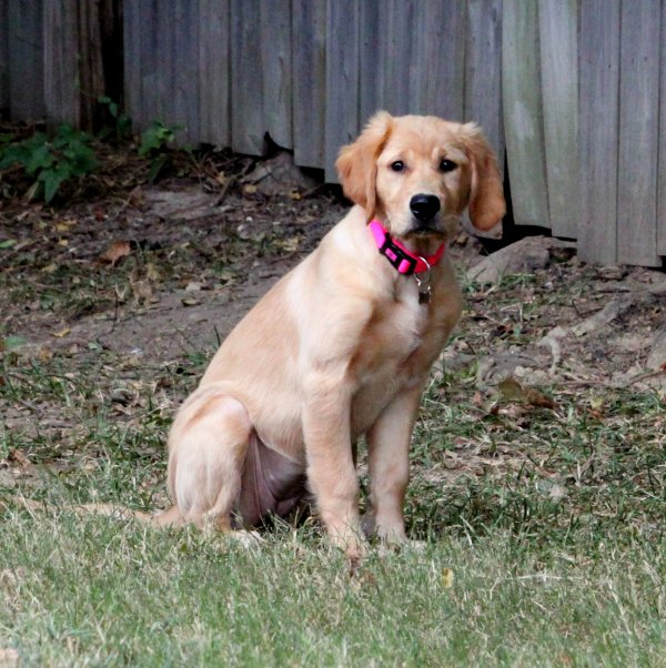 Izzy, almost 4 months