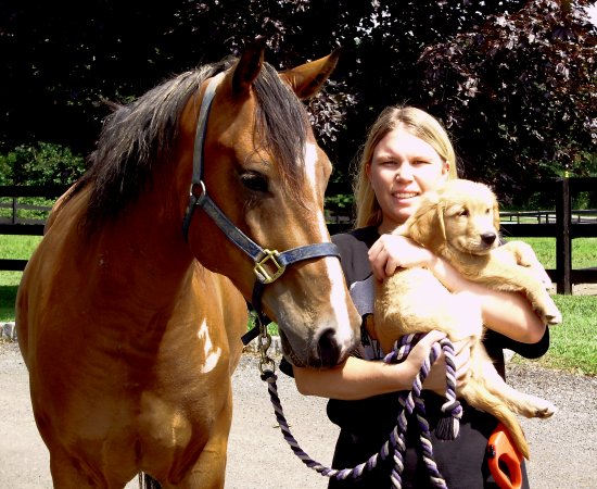 puppy with Jackie and horse