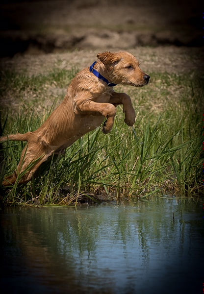 Jesse at 4 months