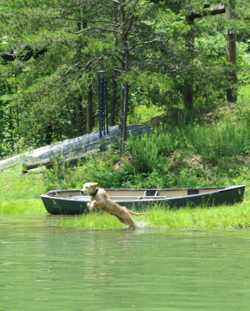 Kepes leaps into the water