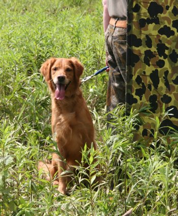 Penny at the blind