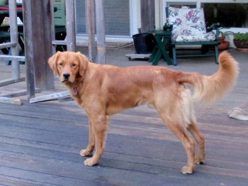 Ryman at 13 months