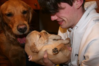 puppy in hands