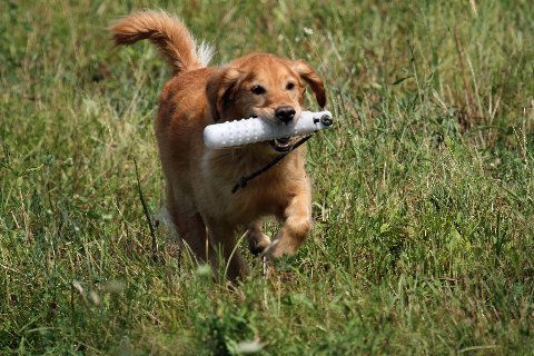 Sedona training, August 2012