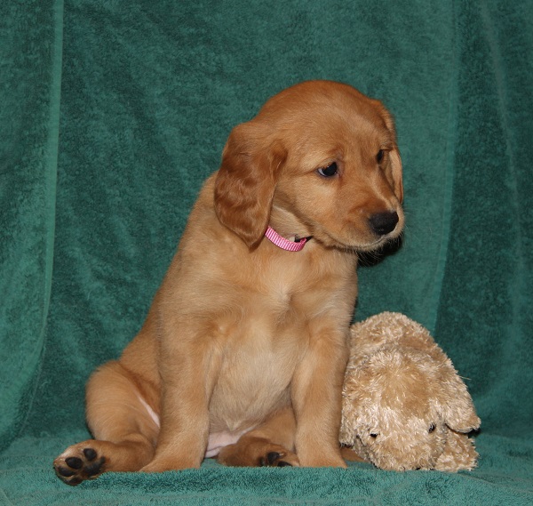 Sleet at 7 weeks old