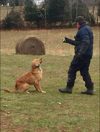 Jody and Willie play Catch