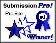 Submission Pro #1 Pro Site Award